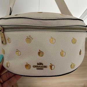 Fannie packs are in!! You can use wherever you go for hand free. Gently used.